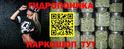 гашик Шахты